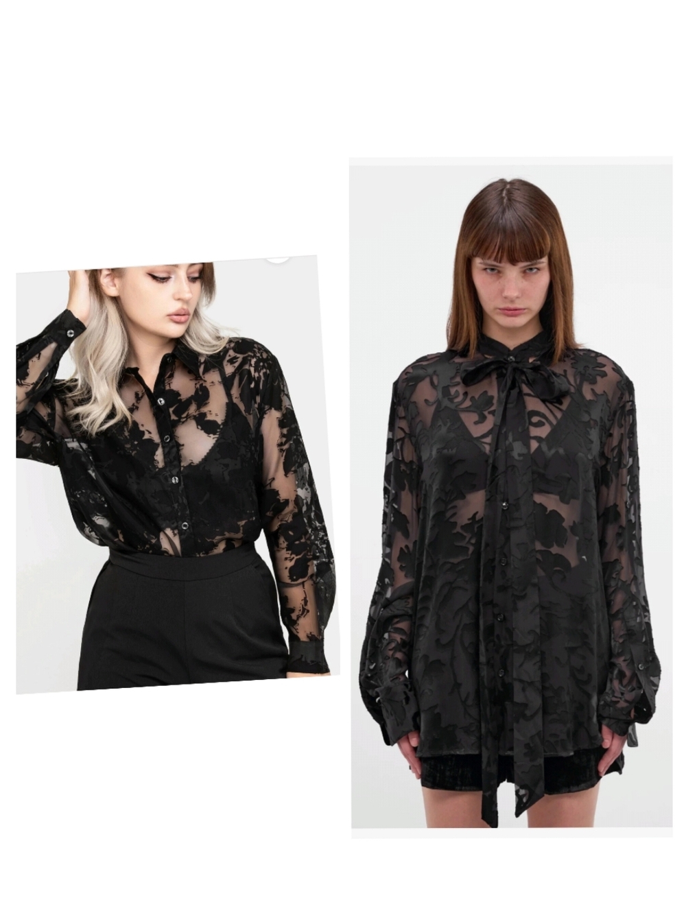 Classic Black Sheer Floral Embroidered Button-Up Blouse